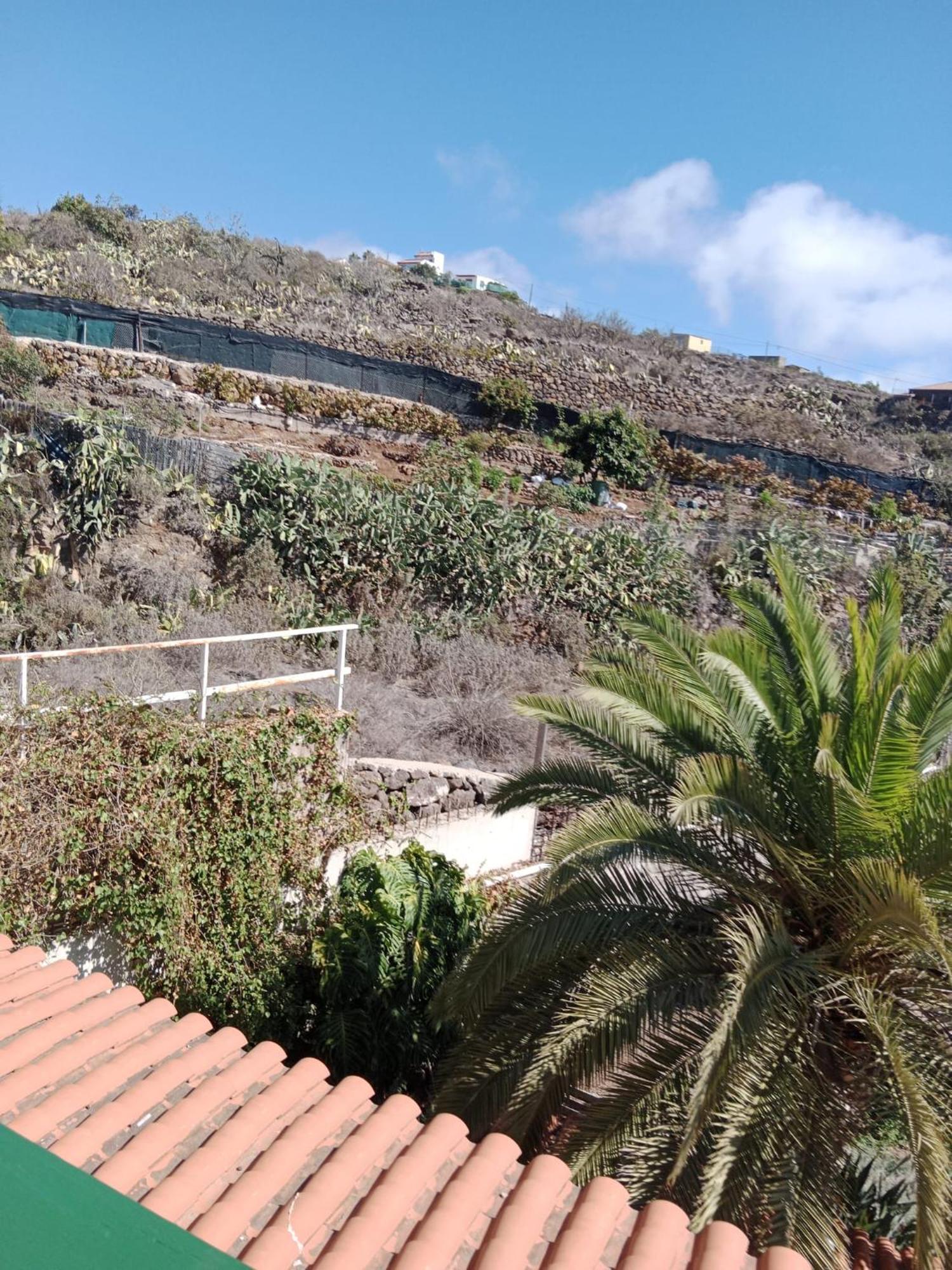 Casa Jose * Costa Adeje (Tenerife)